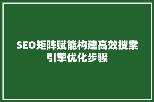 SEO矩阵赋能构建高效搜索引擎优化步骤