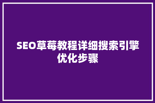 SEO草莓教程详细搜索引擎优化步骤