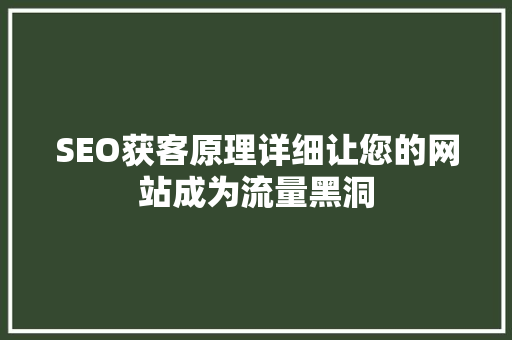 SEO获客原理详细让您的网站成为流量黑洞