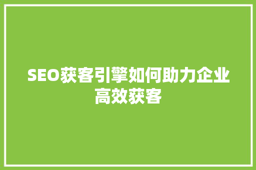 SEO获客引擎如何助力企业高效获客