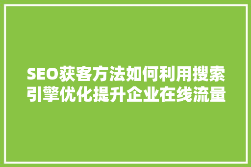 SEO获客方法如何利用搜索引擎优化提升企业在线流量与转化