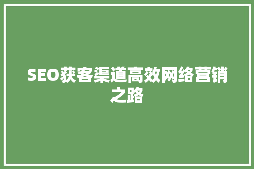 SEO获客渠道高效网络营销之路