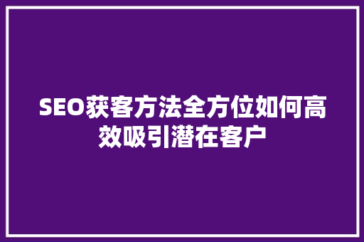 SEO获客方法全方位如何高效吸引潜在客户