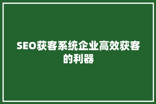 SEO获客系统企业高效获客的利器