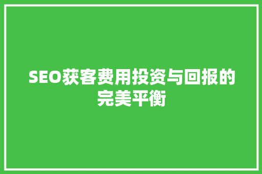 SEO获客费用投资与回报的完美平衡