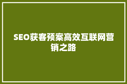 SEO获客预案高效互联网营销之路