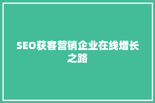 SEO获客营销企业在线增长之路