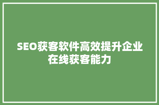 SEO获客软件高效提升企业在线获客能力