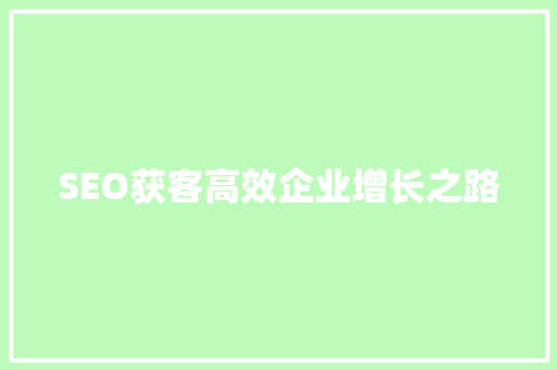 SEO获客高效企业增长之路