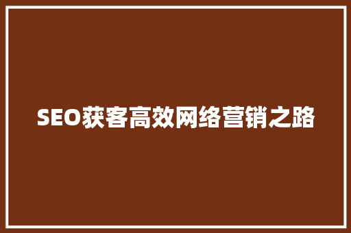 SEO获客高效网络营销之路