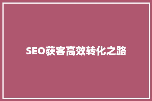 SEO获客高效转化之路