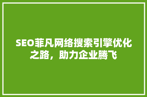 SEO菲凡网络搜索引擎优化之路，助力企业腾飞