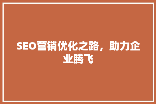 SEO营销优化之路，助力企业腾飞