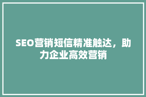 SEO营销短信精准触达，助力企业高效营销