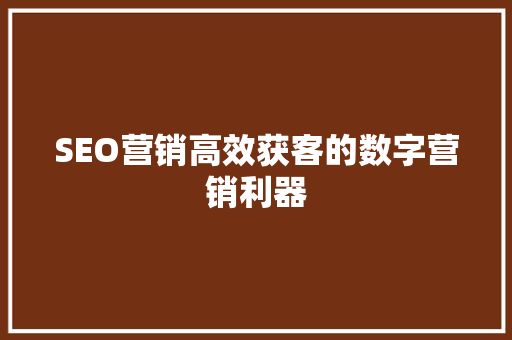 SEO营销高效获客的数字营销利器