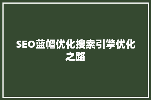 SEO蓝帽优化搜索引擎优化之路