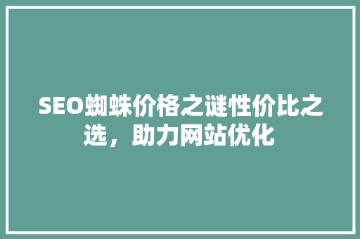 SEO蜘蛛价格之谜性价比之选，助力网站优化