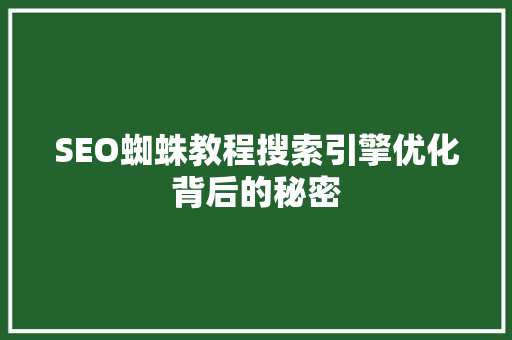 SEO蜘蛛教程搜索引擎优化背后的秘密