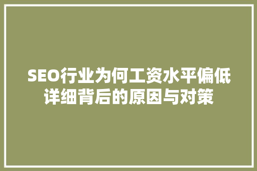 SEO行业为何工资水平偏低详细背后的原因与对策