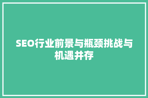 SEO行业前景与瓶颈挑战与机遇并存