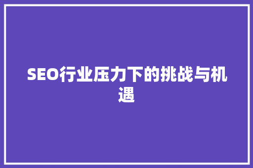 SEO行业压力下的挑战与机遇