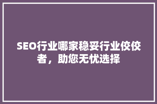 SEO行业哪家稳妥行业佼佼者，助您无忧选择