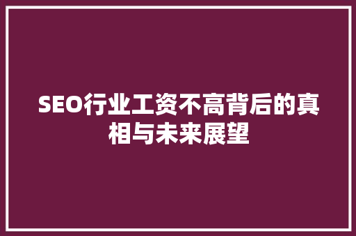 SEO行业工资不高背后的真相与未来展望