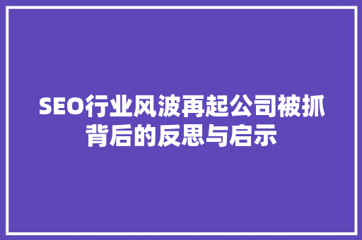 SEO行业风波再起公司被抓背后的反思与启示