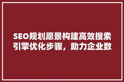 SEO规划愿景构建高效搜索引擎优化步骤，助力企业数字化转型