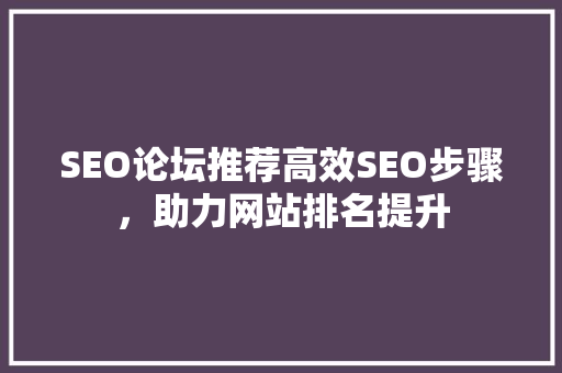 SEO论坛推荐高效SEO步骤，助力网站排名提升