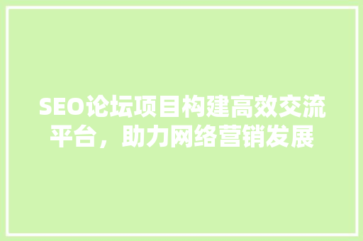 SEO论坛项目构建高效交流平台，助力网络营销发展