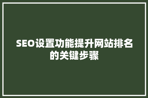 SEO设置功能提升网站排名的关键步骤