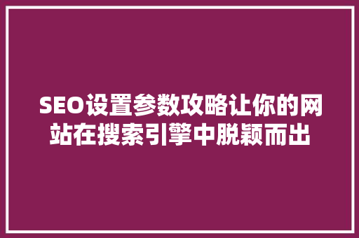 SEO设置参数攻略让你的网站在搜索引擎中脱颖而出