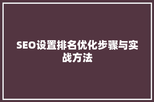 SEO设置排名优化步骤与实战方法