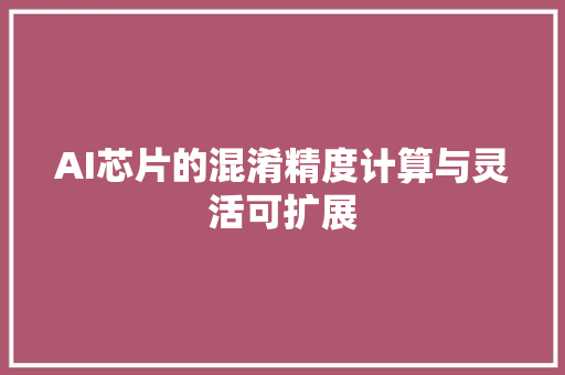 AI芯片的混淆精度计算与灵活可扩展