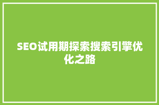 SEO试用期探索搜索引擎优化之路