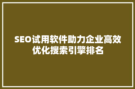 SEO试用软件助力企业高效优化搜索引擎排名