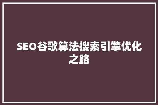 SEO谷歌算法搜索引擎优化之路