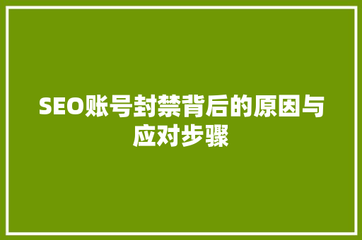 SEO账号封禁背后的原因与应对步骤