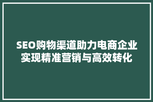 SEO购物渠道助力电商企业实现精准营销与高效转化