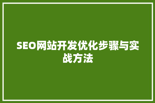 SEO网站开发优化步骤与实战方法