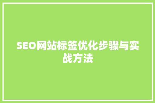 SEO网站标签优化步骤与实战方法