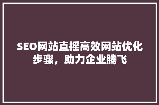 SEO网站直摇高效网站优化步骤，助力企业腾飞