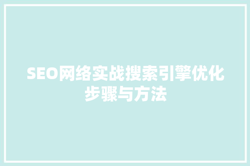 SEO网络实战搜索引擎优化步骤与方法