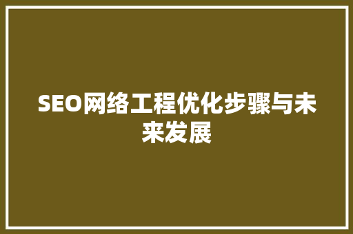 SEO网络工程优化步骤与未来发展