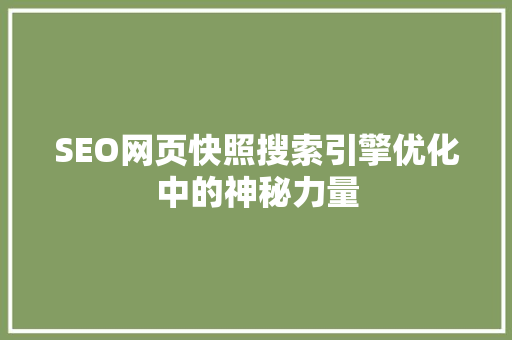 SEO网页快照搜索引擎优化中的神秘力量