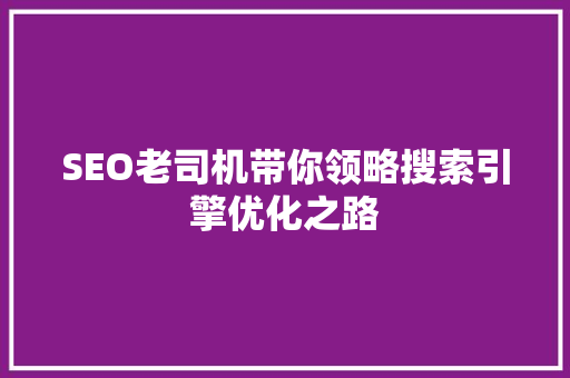 SEO老司机带你领略搜索引擎优化之路