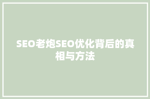 SEO老炮SEO优化背后的真相与方法