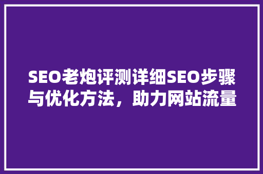 SEO老炮评测详细SEO步骤与优化方法，助力网站流量提升