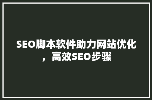 SEO脚本软件助力网站优化，高效SEO步骤